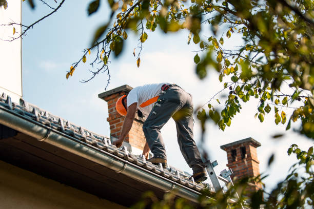 Best Gutter Installation and Roofing  in Columbia Heights, MN