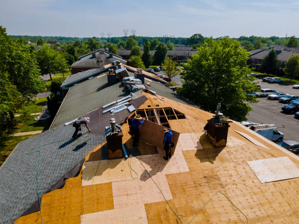 Roof Gutter Cleaning in Columbia Heights, MN