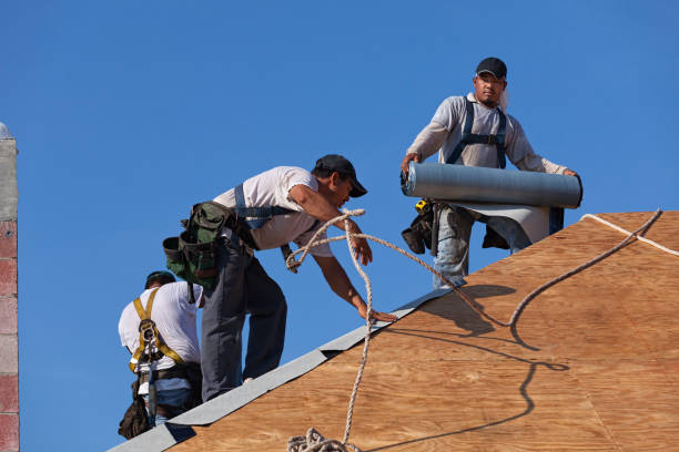 Best Storm Damage Roof Repair  in Columbia Heights, MN