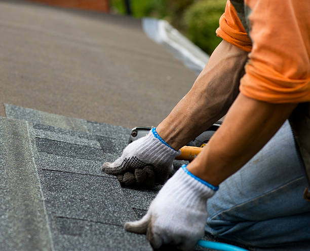 Best Roof Waterproofing Services  in Columbia Heights, MN