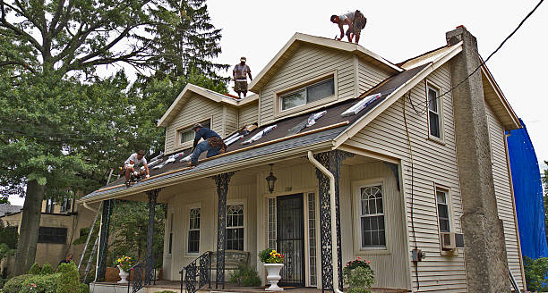 Best Local Roofing Companies  in Columbia Heights, MN