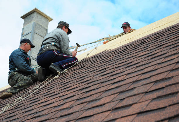 Best Storm Damage Roof Repair  in Columbia Heights, MN
