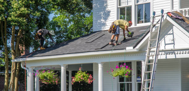 Best Roof Gutter Cleaning  in Columbia Heights, MN