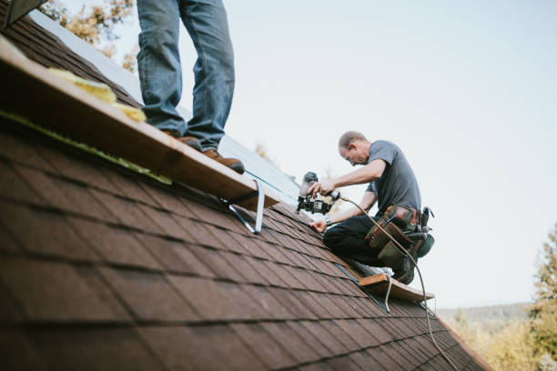 Best Roof Maintenance Services  in Columbia Heights, MN