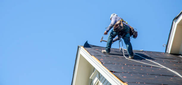Best Best Roofing Contractors  in Columbia Heights, MN